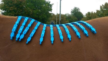 Der EQUIscsan Topograph im Einsatz